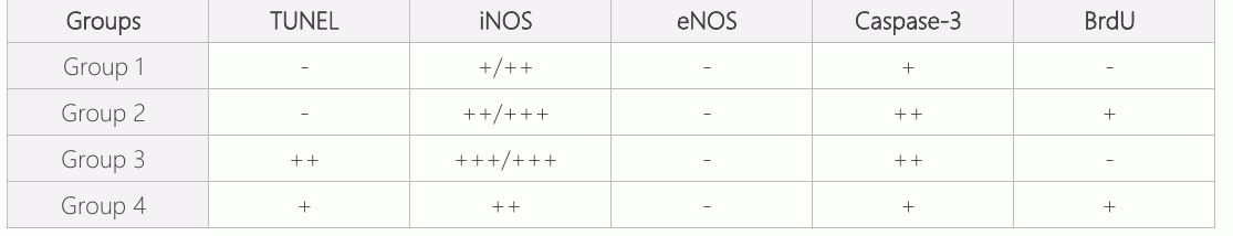 表1:实验组中TUNEL、iNOS、eNOS、Caspase-3和BrdU的浓度水平