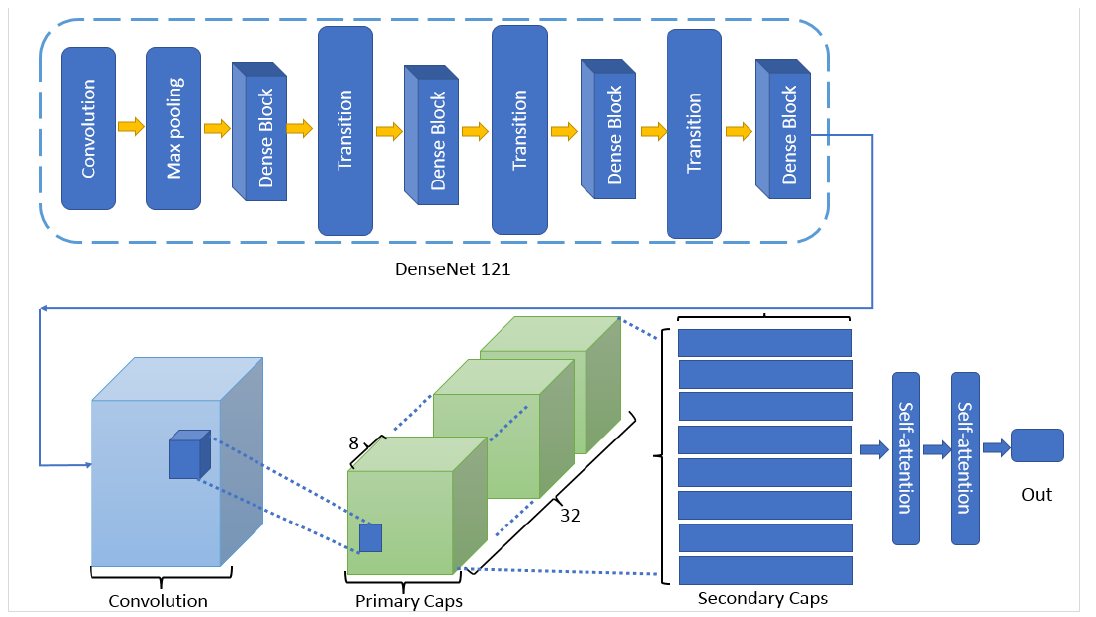 图1:拟议戴森帽(DensNet-121和Capsule Net),自留心模式
