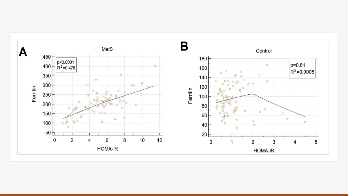 Two scatter plots of serum ferritin against HOMA-IR: a positive correlation in patients with metabolic syndrome (A) and none in the control group (B).